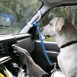 Meet your Posher, Bradford